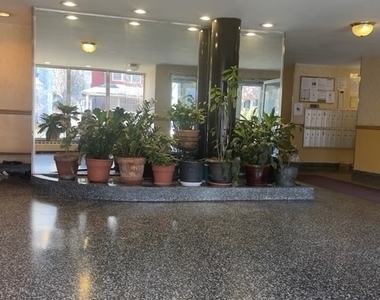 390 Rugby Road - Photo Thumbnail 16