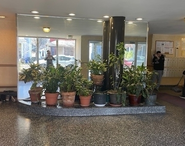 390 Rugby Road - Photo Thumbnail 18