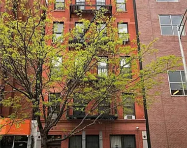 503 East 116th Street - Photo Thumbnail 14