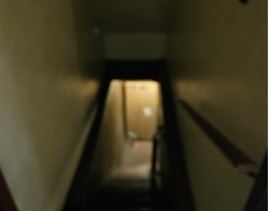 537 6th St - Photo Thumbnail 36