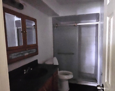 3303 Roaming Woods Lane - Photo Thumbnail 12