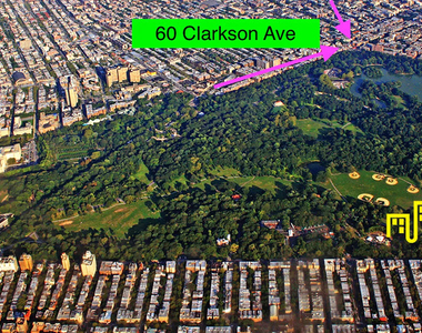 62 Clarkson Avenue - Photo Thumbnail 8