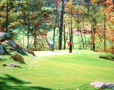 72 Brown Bear - Photo Thumbnail 18