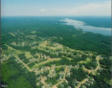 72 Brown Bear - Photo Thumbnail 2