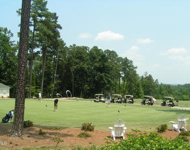 72 Brown Bear - Photo Thumbnail 19
