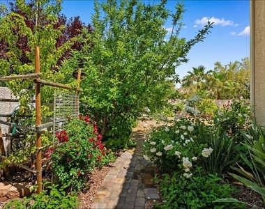 3010 Hammerwood Drive - Photo Thumbnail 6