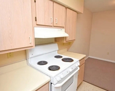 1803 Gray St - Photo Thumbnail 6