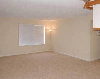 910 Duncan Ln - Photo Thumbnail 7