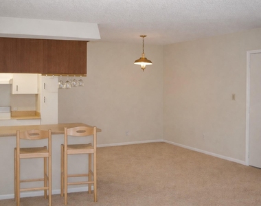 910 Duncan Ln - Photo Thumbnail 8