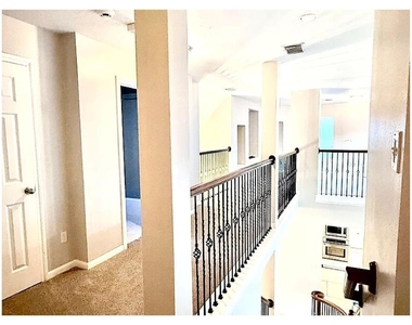 14131 Sandhill Crane Drive - Photo Thumbnail 25