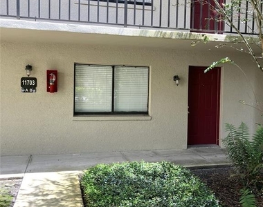 11703 Raintree Village Boulevard - Photo Thumbnail 59
