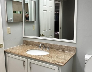 11703 Raintree Village Boulevard - Photo Thumbnail 45