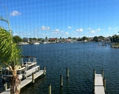 1008 Apollo Beach Boulevard - Photo Thumbnail 22