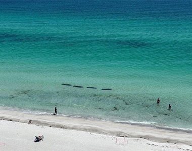 2425 Gulf Of Mexico Drive - Photo Thumbnail 33