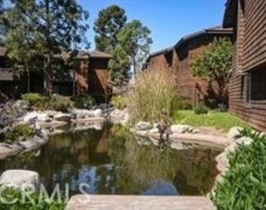 33852 Del Obispo St Unit - Photo Thumbnail 11