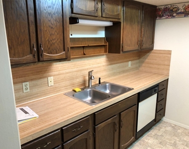 914 W Meadowmere Ln - Photo Thumbnail 5