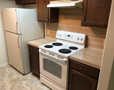 914 W Meadowmere Ln - Photo Thumbnail 7