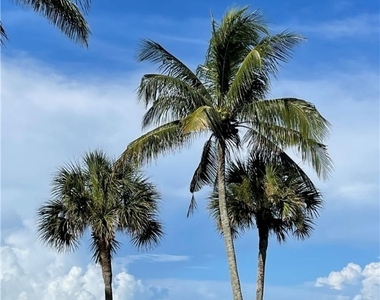 10525 Gulf Shore Drive - Photo Thumbnail 26