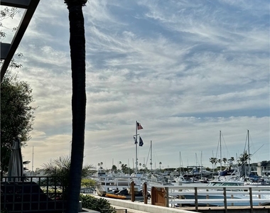 1009 N Bay Front - Photo Thumbnail 2