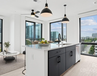 1007 S Mint Street - Photo Thumbnail 37