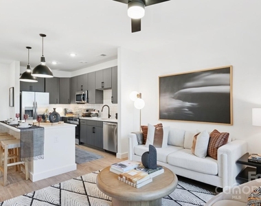 1007 S Mint Street - Photo Thumbnail 30