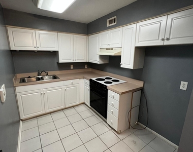 402 Lower 8th Avenue - Photo Thumbnail 6