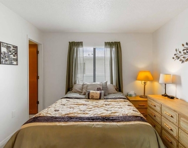 18606 Briggs Circle - Photo Thumbnail 19