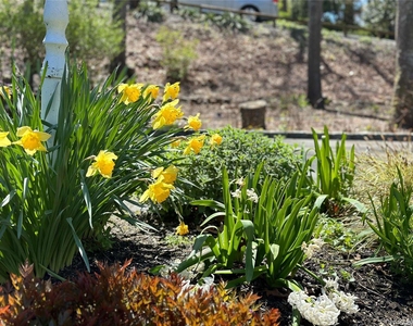126 Overhill Road - Photo Thumbnail 20
