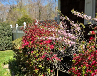 126 Overhill Road - Photo Thumbnail 19
