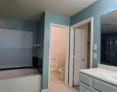 1003 Spring Tide Drive - Photo Thumbnail 13