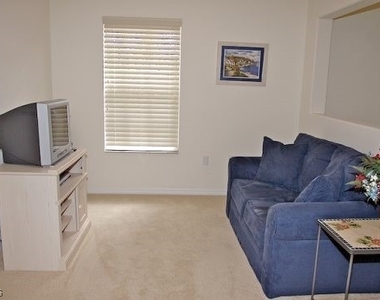 10128 Colonial Country Club Boulevard - Photo Thumbnail 9
