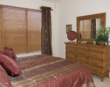 10128 Colonial Country Club Boulevard - Photo Thumbnail 11