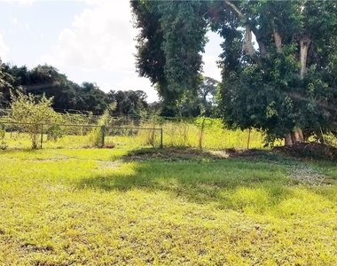 434 Buena Vista Boulevard S - Photo Thumbnail 19