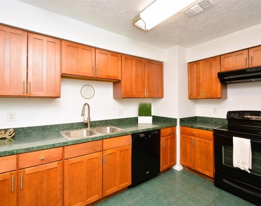 3315 Honey Creek Drive - Photo Thumbnail 16