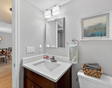 1343 Perico Point Circle - Photo Thumbnail 49