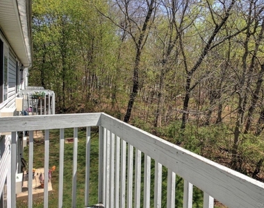 256 Peck Lane - Photo Thumbnail 9