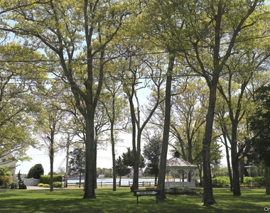 5 Mill Race Road - Photo Thumbnail 33