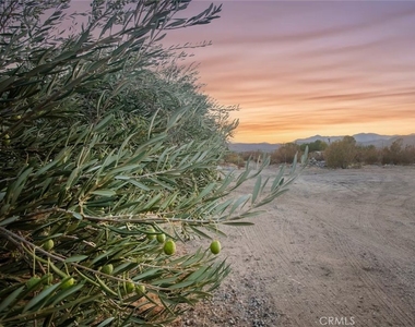 50785 Twentynine Palms Hwy - Photo Thumbnail 43