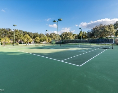 25727 Lake Amelia Way - Photo Thumbnail 23