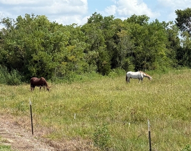 17310 Cowan Road - Photo Thumbnail 5