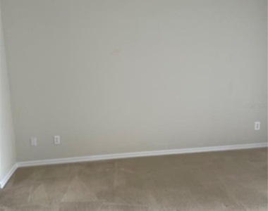323 Madeira Circle - Photo Thumbnail 18