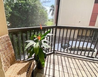 5611 Gulf Of Mexico Drive - Photo Thumbnail 8
