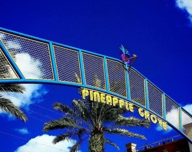 5220 Las Verdes Circle - Photo Thumbnail 46