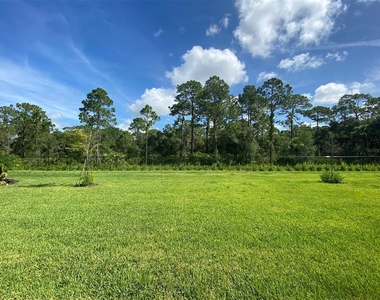 15936 Honeysuckle Street - Photo Thumbnail 26