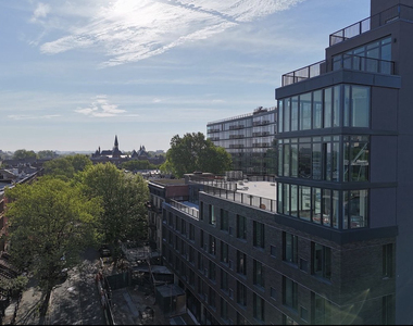 Halsey Street - Photo Thumbnail 15