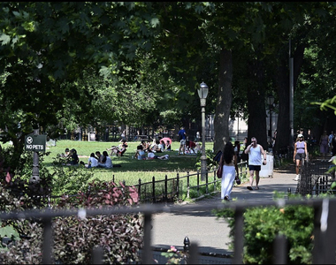 Halsey Street - Photo Thumbnail 16