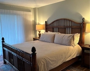 1300 Gulf Shore Boulevard N - Photo Thumbnail 19