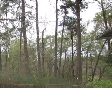 4018 E Mossy Oaks Road - Photo Thumbnail 9