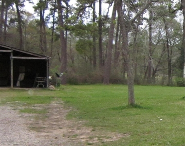 4018 E Mossy Oaks Road - Photo Thumbnail 5