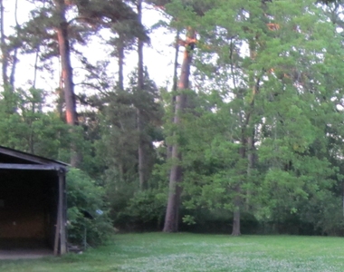 4018 E Mossy Oaks Road - Photo Thumbnail 8
